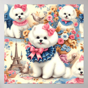 Poster Cute Bichon Frisé
