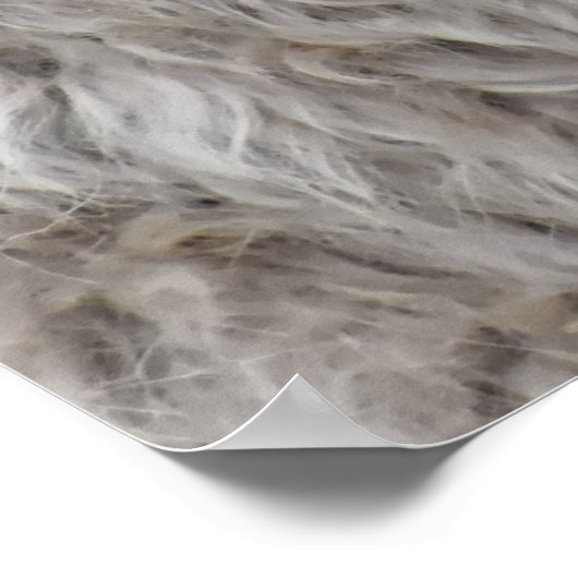 Poster Cute Billy Goat (Coin)