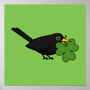 Poster Cute Blackbird avec Shamrock Clover Carton