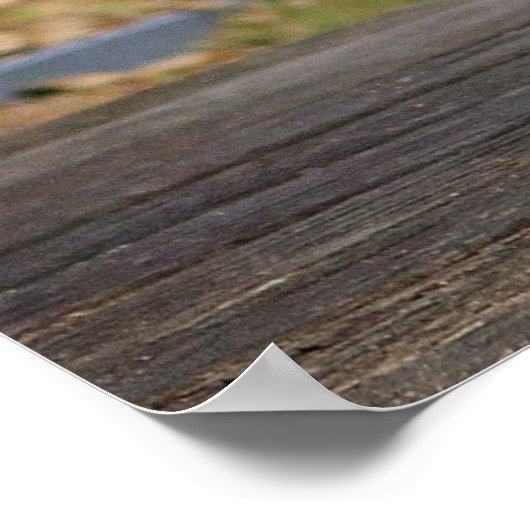 Poster Cute Blenheim Cavalier King Charles Spaniel Chiot (Coin)