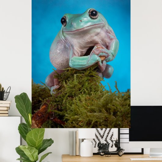 Poster Cute Bleu phase Blancs grenouille des arbres souri (Bureau à domicile)