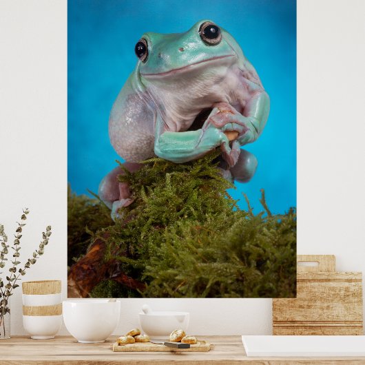Poster Cute Bleu phase Blancs grenouille des arbres souri (Cuisine)