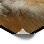 Poster Cute blonde  (Coin)