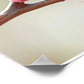 Poster Cute Blue Tit Bird on Spring Blooming Apple Tree   (Coin)