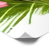 Poster Cute Boston Terrier Chiot Jouant Avec Papillon (Coin)