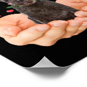 Poster Cute Bouvier Des Flandres This Is My Valentines Da (Coin)