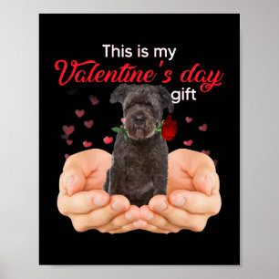 Poster Cute Bouvier Des Flandres This Is My Valentines Da