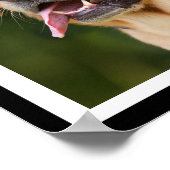 Poster Cute café-boisson Labrador personnalisé (Coin)