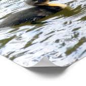 Poster Cute Canettes Natation (Coin)