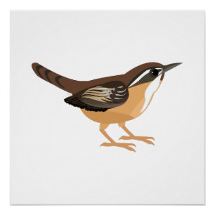 Poster Cute Carolina Wren