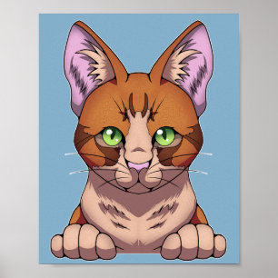 Poster Cute chat