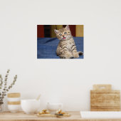 Poster Cute chat (Cuisine)