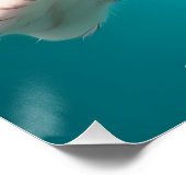 Poster Cute Chat Plongée sous l'eau dans la piscine Amusa (Coin)