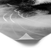 Poster Cute chaton blanc aux yeux bleus (Coin)