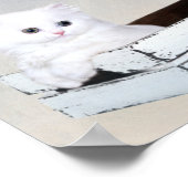 Poster Cute chaton persan blanc (Coin)
