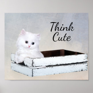 Poster Cute chaton persan blanc