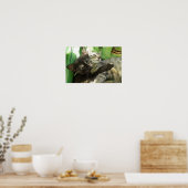 Poster Cute chatons bouddin (Cuisine)