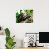 Poster Cute chatons bouddin (Bureau à domicile)