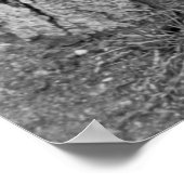 Poster Cute Chick, 1937 (Coin)