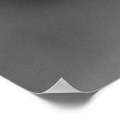 Poster Cute Chinchilla (Coin)