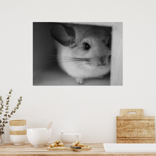 Poster Cute Chinchilla (Cuisine)