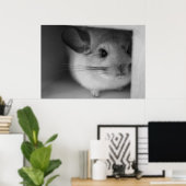 Poster Cute Chinchilla (Bureau à domicile)