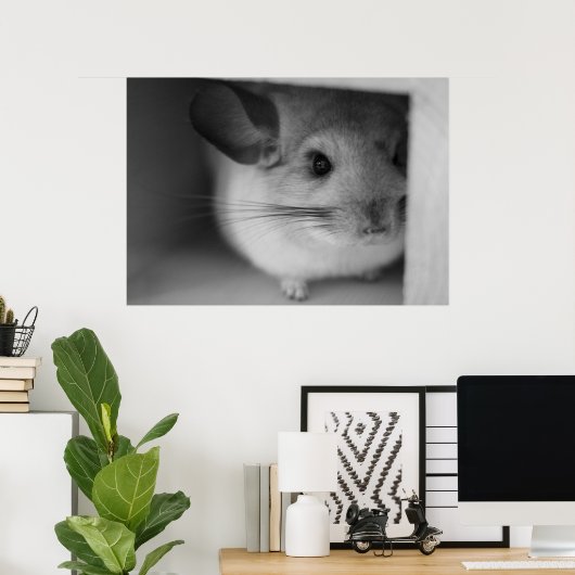 Poster Cute Chinchilla (Bureau à domicile)