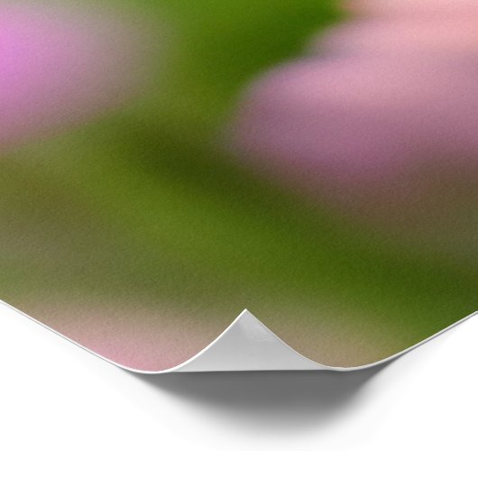 Poster Cute Chipmunk avec Fleurs (Coin)