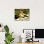 Poster Cute Chipmunk avec grande variété (Bureau à domicile)