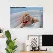 Poster Cute Cockapoo Photo Chien Avec Veste À Vie (Bureau à domicile)