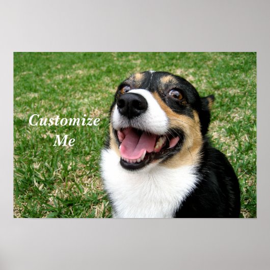 Poster Cute Corgi Chien personnalisé (Devant)
