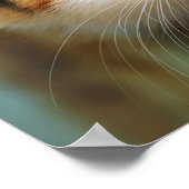 Poster Cute Curieux Chat Kitten Prying Eyes Portrait Phot (Coin)