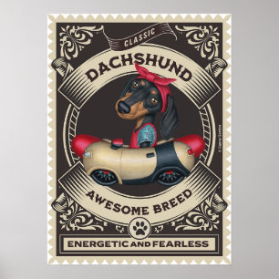 Poster Cute Dachshund en voiture en forme de saucisse