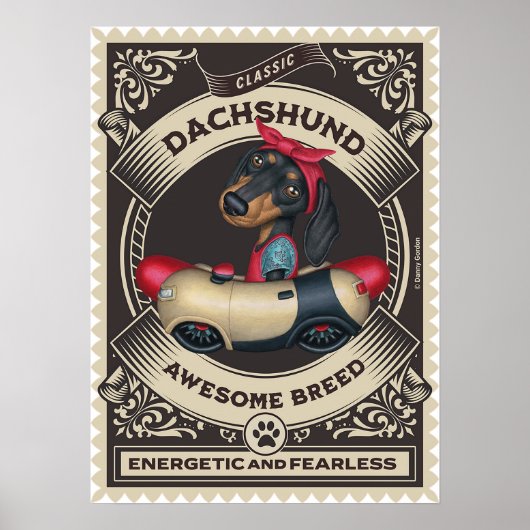 Poster Cute Dachshund en voiture en forme de saucisse (Devant)