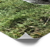 POSTER CUTE DONKEY (Coin)