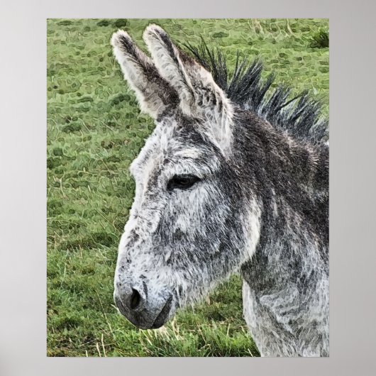 POSTER CUTE DONKEY (Devant)