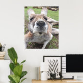 Poster Cute drôle Visage Kangaroo Education Animal Photo (Bureau à domicile)
