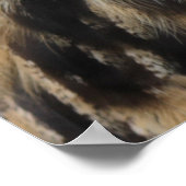 Poster Cute eagle owl (Coin)