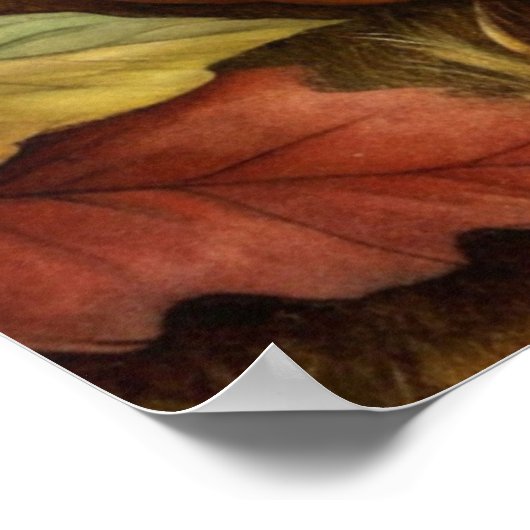 Poster Cute écureuil (Coin)