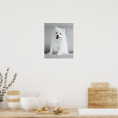 Poster Cute Fluffy Japonais Spitz Puppy (Cuisine)