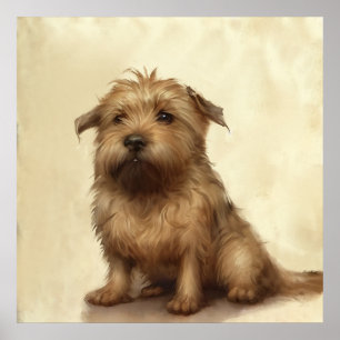 Poster Cute Fluffy Norfolk Terrier Art