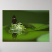 Poster Cute frog (Devant)