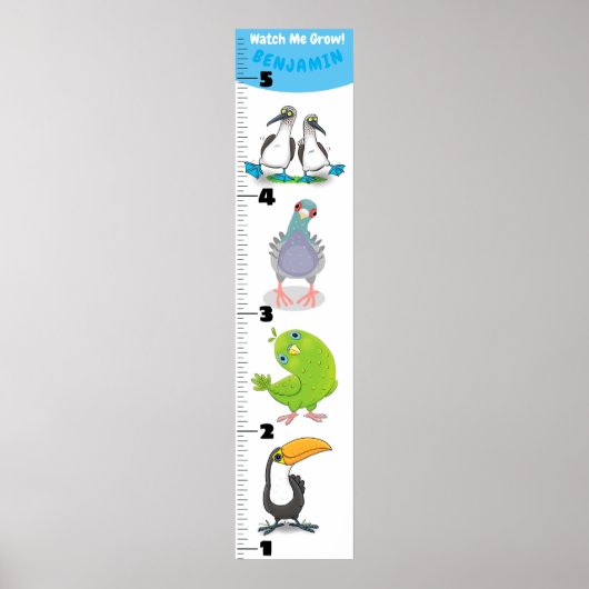 Poster Cute funny birds cartoon growth chart (Devant)
