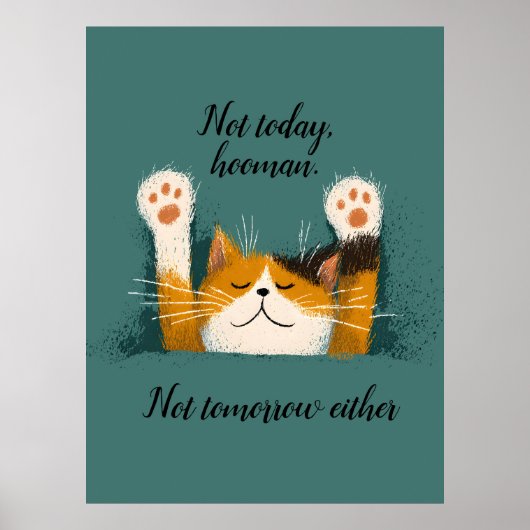 Poster Cute Funny Cat Nap (Devant)