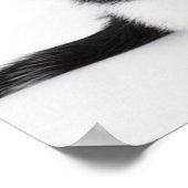 Poster Cute Funny chaton noir et blanc (Coin)