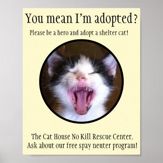 Poster Cute Funny Kitten Photo Adopter un Shelter Cat (Devant)