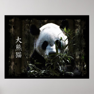 Poster Cute Giant Panda Ours avec savoureux Feuilles Bamb