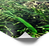 Poster Cute Golden Doodle (Coin)