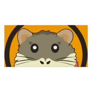 Poster Cute hamster face avec fourrure colorée : Amoureux