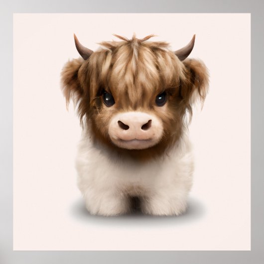 Poster Cute Highlands Scottish Cow (Devant)